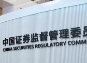 证监会出手！中能粮科违规擅自到纳斯达克发行上市，被重罚！公司在美上市当天就被停牌