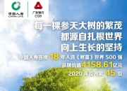 人保服务,拥有“如意行”驾乘险，出行更顺畅！_2026年中国充电宝行业：新国标下的格局重塑与前景展望