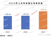 人保车险   品牌优势——快速了解燃油汽车车险,人保财险政银保 _2025-2030年中国羊绒行业深度解码：从“软黄金”到“时尚顶流”，揭秘产销新格局与品牌突围战略