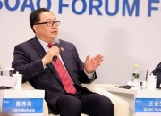 国投丰乐：针对目标市场会采取增加营销人员、培育新的营销团队方式拓展市场