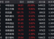 中际旭创成交额超200亿元，现跌超3%