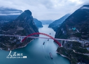 中国三峡集团：三峡库区特有珍稀植物迁地保护成活率超九成