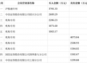 辽宁能源跌停，沪股通龙虎榜上净买入1808.81万元