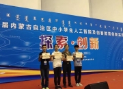 内蒙古呼和浩特市：“算”出人工智能发展新机