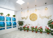 “玩”美新消费丨逛超级工厂、乘空中列车，在科技之城感受创新脉动