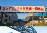 恒逸石化：关于“恒逸转2”转股价格调整的公告