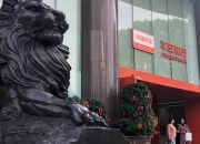 11家险企发债超260亿元，永续债占六成