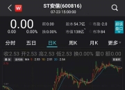 *ST龙津录得9天8板