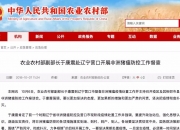 农业农村部：全国农产品批发市场猪肉平均价格为25.20元/公斤，比昨天上升0.5%