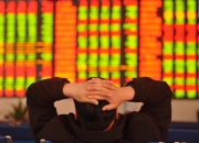 岳阳林纸： 公司目前未进行任何股票投资，不存在质押股票行为