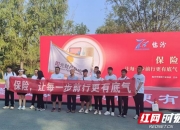 人保财险政银保 ,人保伴您前行_2024显示屏产业发展现状及品牌竞争格局分析
