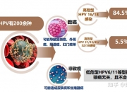 与GSK“分手”后，万泰生物为何继续押宝九价HPV疫苗？