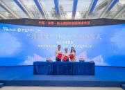 人保服务,人保财险政银保 _2024年中国核桃蛋白粉行业发展现状及市场供需预测分析