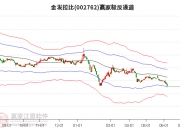 ST九芝新董事长花落黑龙江国资 公司控制权变更与否引热议