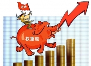 A股放量大涨，基金公司解读来了！