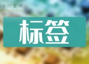 智动力：截止至2024年7月31日，公司股东总户数20,608户