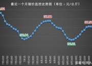 2024年8月2日今日生丝价格最新行情走势