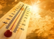 高温预警！这些地方最高气温可达40℃以上！有人得热射病吐血失禁进ICU，有市民直呼“要被晒化了”......