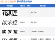 石头科技新提交4件商标注册申请