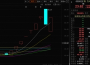 腾达科技连续12日涨停再创新高 盘中上演“地天板”
