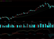 7月1日豆油期货持仓龙虎榜分析：多空双方均呈进场态势
