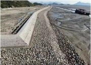 海南加快处置围填海历史遗留问题，部分围填海区域可进行用海备案