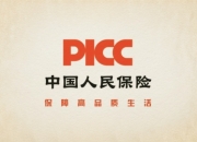 人保车险   品牌优势——快速了解燃油汽车车险,人保车险_电石行业市场现状、前景趋势研究分析