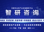 2024中国智能车库行业市场深度调研及投资策略预测_人保车险   品牌优势——快速了解燃油汽车车险,人保财险 