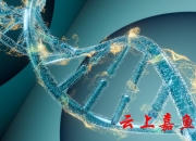 我科学家发明新型“热发射极”晶体管
