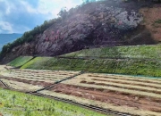 规范有序开展矿山生态修复