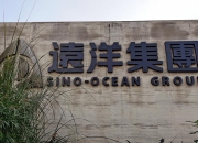 圣诺生物(688117.SH)：签署境外《投资合作协议》