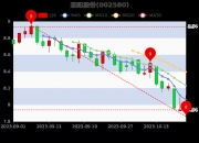 圣阳股份获得实用新型专利授权：“一种高防护储能电池组”