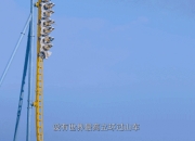 【ESG动态】新赛股份（600540.SH）华证指数ESG最新评级CC，行业排名第149