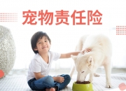 宠物用药行业市场现状、前景趋势研究分析_保险有温度,拥有“如意行”驾乘险，出行更顺畅！