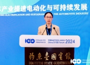 人保服务 ,人保财险政银保 _2024汽车供应链金融行业深度调研及市场发展现状分析