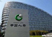 【企业动态】中国人寿新增1件法院诉讼，案由为人身保险合同纠纷