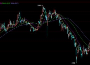 7月4日白糖期货持仓龙虎榜分析：空方呈退场态势
