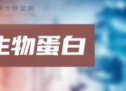 2024年微生物蛋白行业的市场发展现状及投资风险分析_人保财险 ,人保护你周全