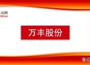 万丰股份等在绍兴成立检测技术公司