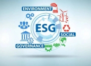 英飞特：公司严格按照信息披露相关规定履行信息披露义务