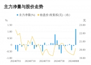 思林杰开盘涨停