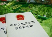 保险有温度,人保服务 _中国食品安全行业发展前景及投资风险预测分析 中国食品安全辟谣榜