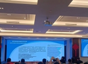 2024年人参行业发展现状、竞争格局及发展趋势与前景分析_人保车险   品牌优势——快速了解燃油汽车车险,人保车险