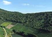 国庆假期，长线游火爆， “松弛感”玩法出圈！