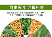 向日葵(300111.SZ)：贝得药业产品拉西地平分散片拟中选福建省第五批药品集中带量采购