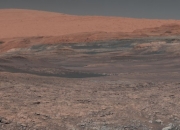 新疆科考发现一种有望在火星存活的植物