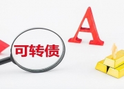 佳禾智能：2024年第三季度“佳禾转债”转股约3.05万股