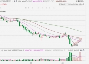 深交所：汇金科技近10个交易日累涨162.73% 自然人买入占比达93.99%