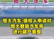 *ST步高：股东步步高投资集团被申请重整