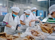 产品订单充足 大连电瓷前三季净利增逾2倍
